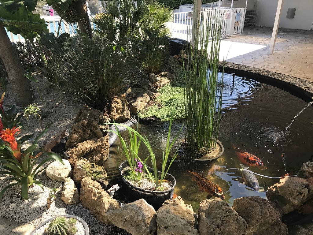 Camping La Paoute Grasse Luaran gambar