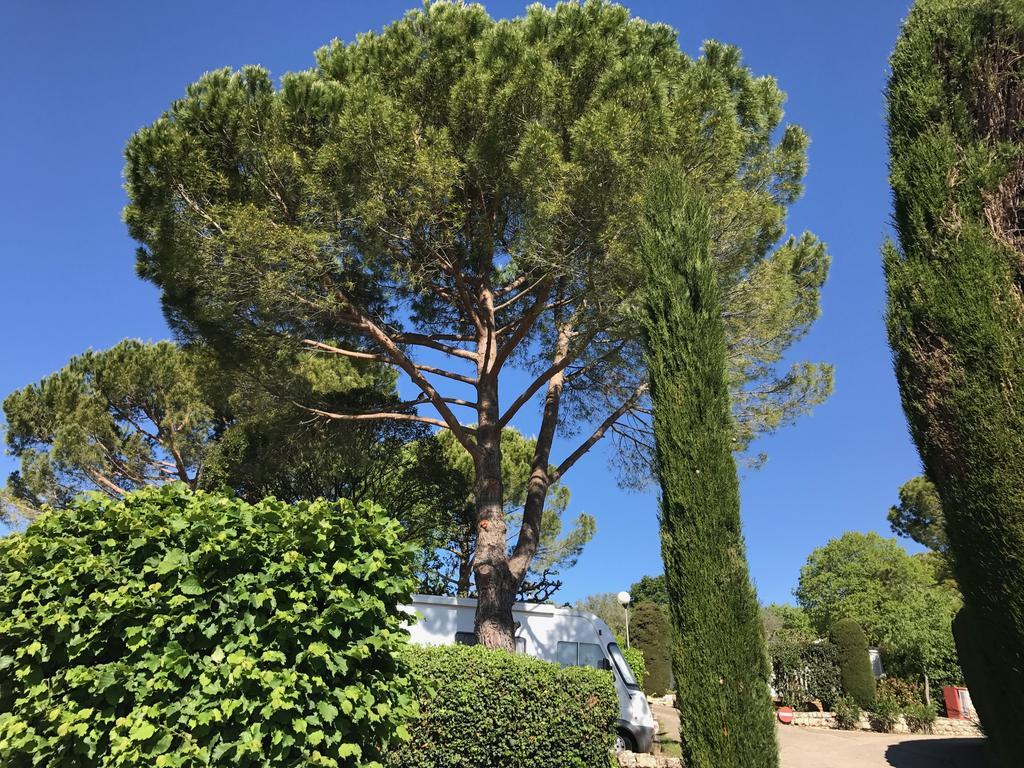 Camping La Paoute Grasse Luaran gambar